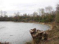 ArbeitseinsatzHolungsbuegelteich 2025 001