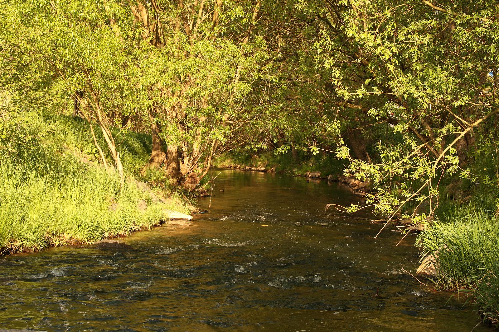 Gemeindemühlenweg Bleicherode