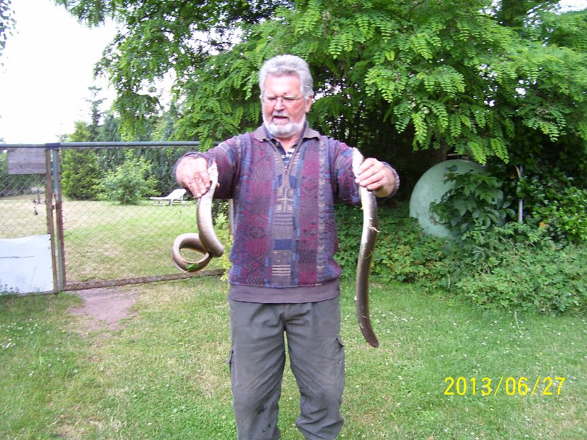 2013_022