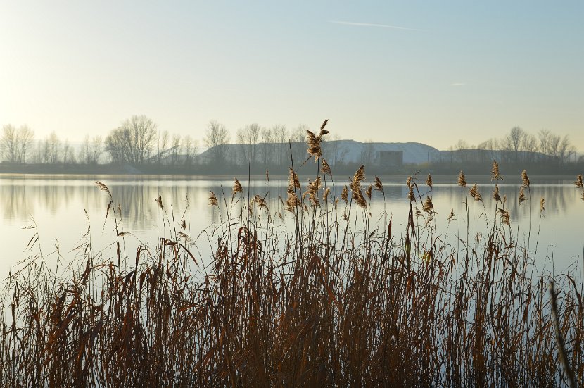 OG_Bielen_2016_072