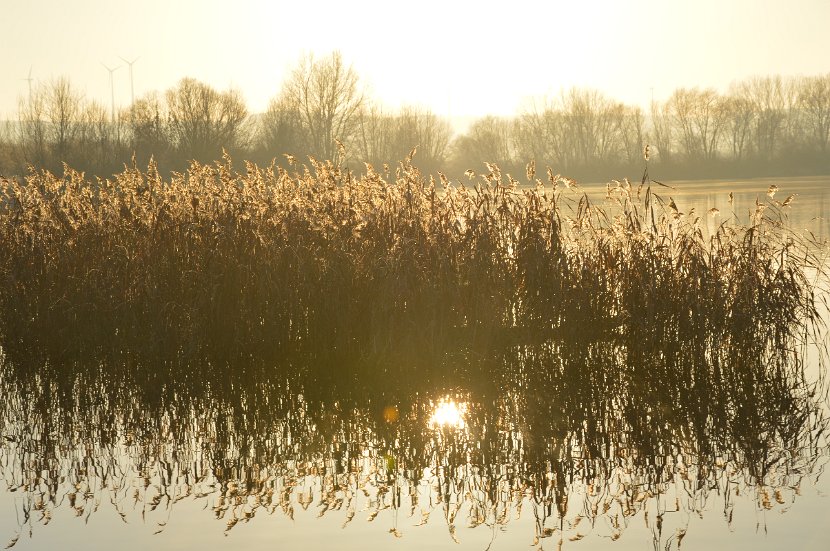 OG_Bielen_2016_073