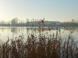 OG_Bielen_2016_072.JPG