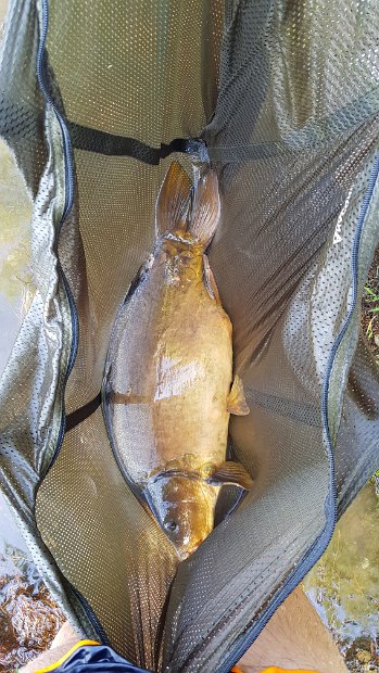 OG_Bielen_2018_034