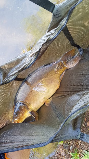 OG_Bielen_2018_035