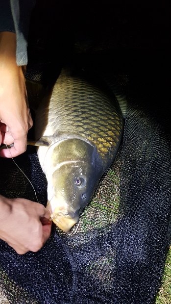 OG_Bielen_2018_048