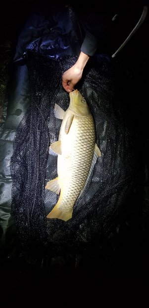 OG_Bielen_2018_053