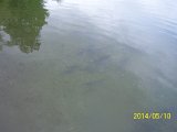 BesatzTauchersee2014_008.JPG