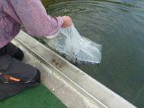 BesatzTauchersee2014_050.JPG