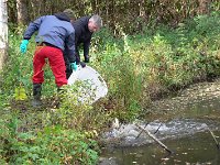 Abfischen Schwanenteich 2024 002