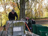 Abfischen Schwanenteich 2024 015