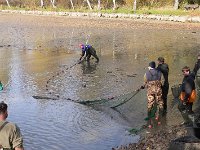 Abfischen Schwanenteich 2024 016