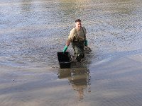 Abfischen Schwanenteich 2024 017