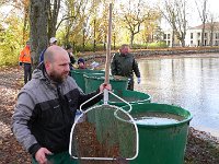 Abfischen Schwanenteich 2024 018