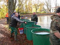 Abfischen Schwanenteich 2024 019