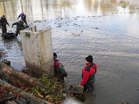 Abfischen Schwanenteich 2024 022