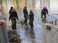 Abfischen Schwanenteich 2024 023