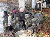 Abfischen Schwanenteich 2024 025