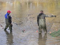 Abfischen Schwanenteich 2024 026