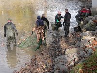 Abfischen Schwanenteich 2024 027