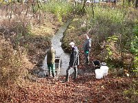 Abfischen Schwanenteich 2024 030