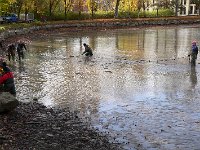 Abfischen Schwanenteich 2024 032