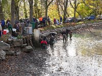 Abfischen Schwanenteich 2024 034