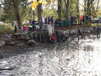 Abfischen Schwanenteich 2024 035