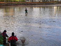 Abfischen Schwanenteich 2024 036