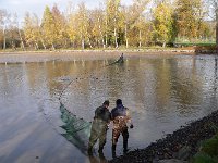 Abfischen Schwanenteich 2024 040